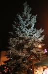 Rozsvěcování vánočního stromu v Třebčíně - 2. prosince 2018