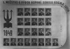 I. mužstvo kopané Sokola 1949