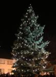 Rozsvícení vánočního stromečku v Třebčíně - 1. prosince 2019